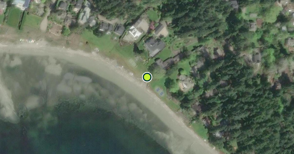 Satellite view of Bainbridge Island Pickleball Courts