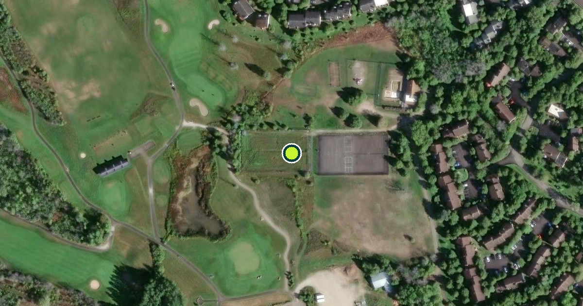Satellite view of Collingwood Pickleball Courts