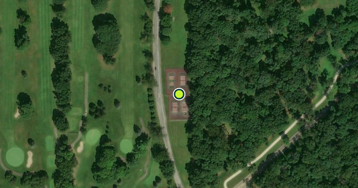 Satellite view of Ella Sharp Park Pickleball Courts