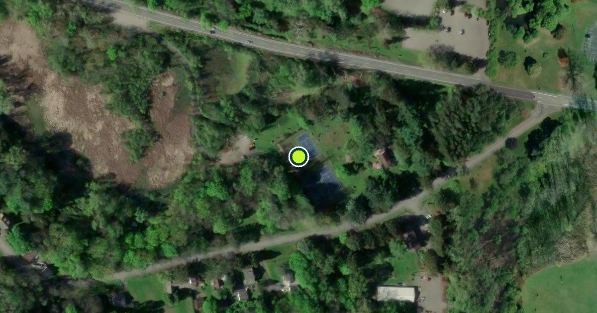 Satellite view of Ellison Park Pickleball Courts