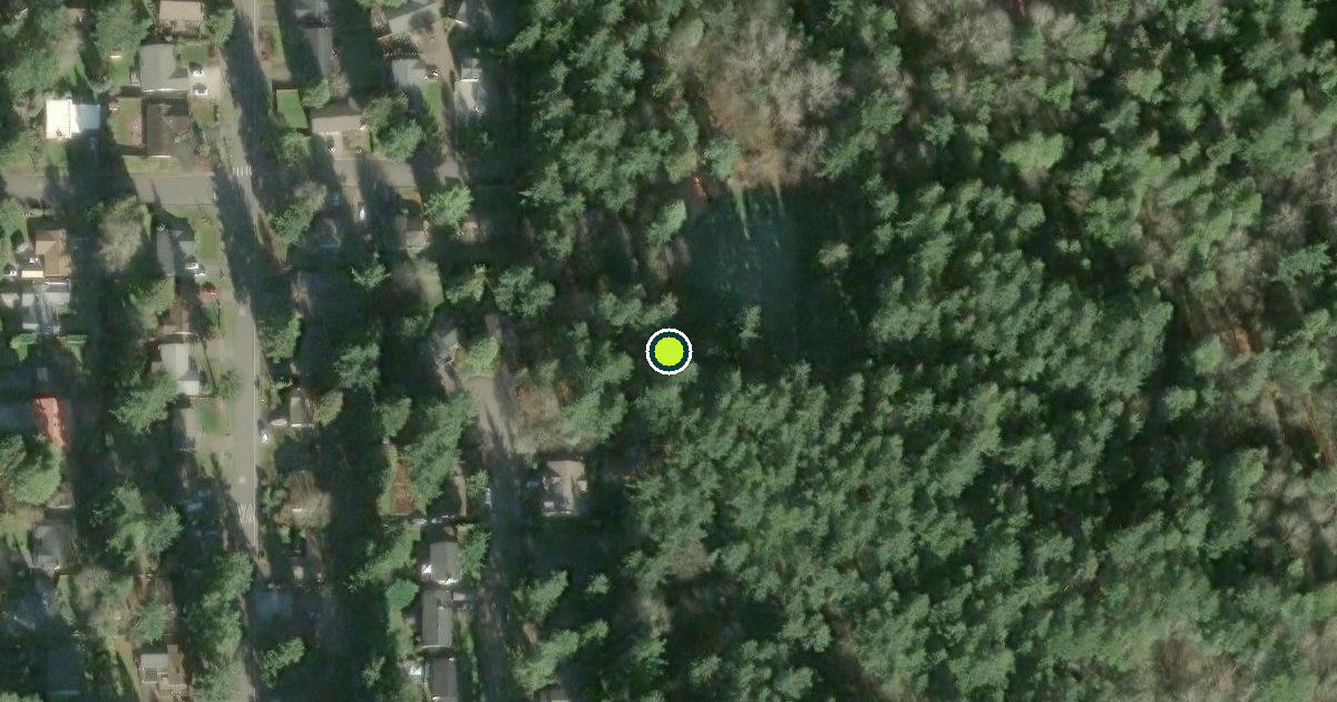 Satellite view of Nike Neighborhood Park Pickleball Courts