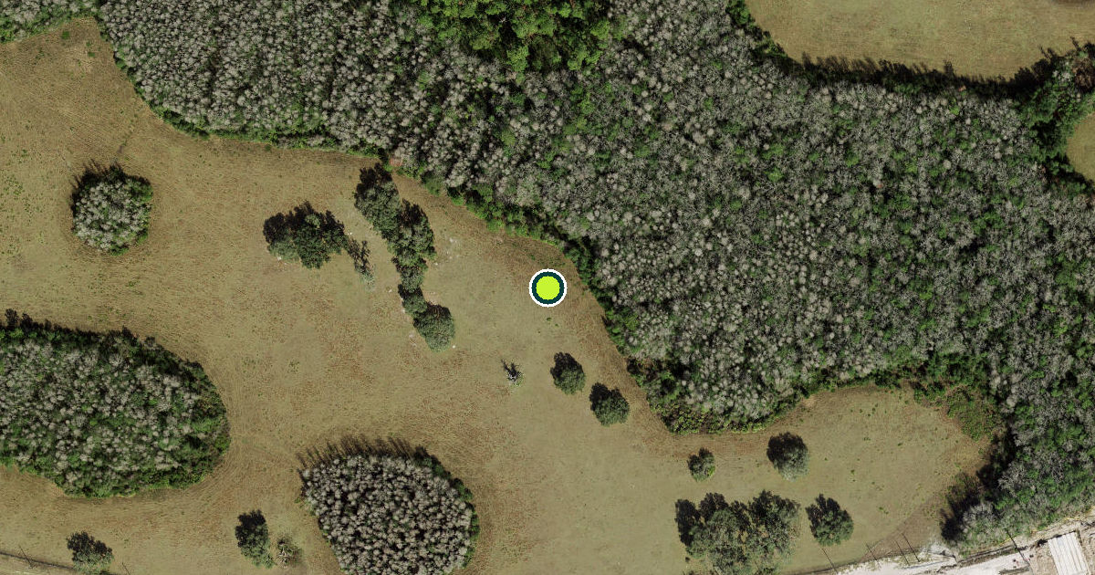 Satellite view of Pasco County Pickleball Courts