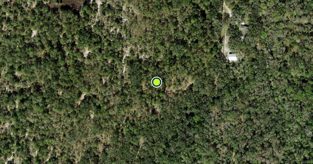 Satellite view of Pasco County Pickleball Courts